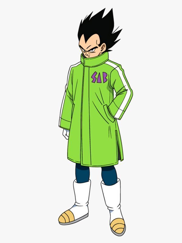 Goku And Vegeta Sab Jacket